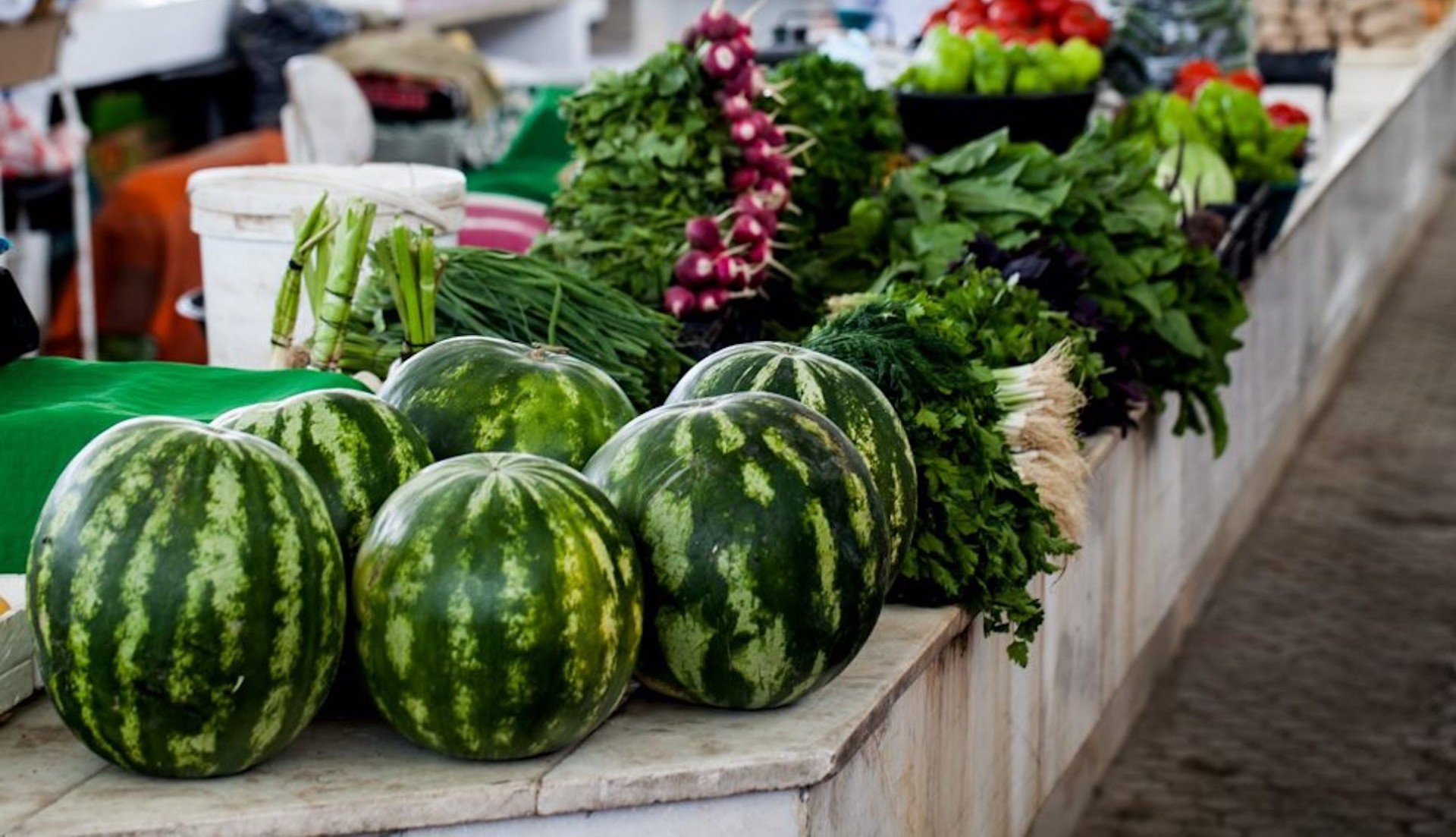 Melons in Turkmenistan