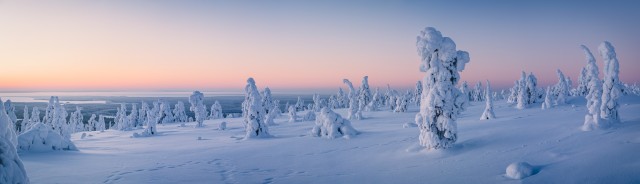 Lapland in wintertime